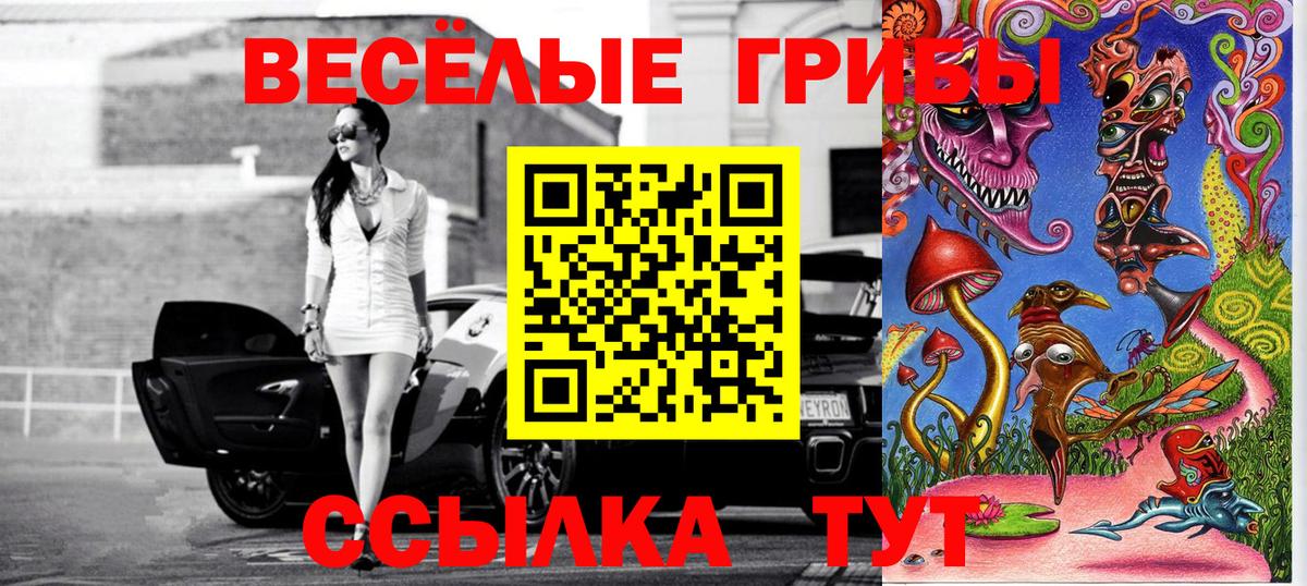 Галлюциногенные грибы прущие грибы  Псилоцибиновые грибы GOLDEN TEACHER  Орёл  Вход с VPN 
